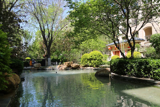 GA黄金甲集团
