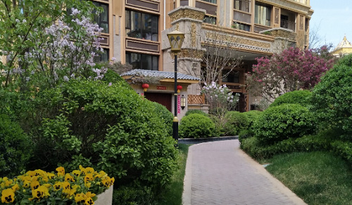 GA黄金甲集团